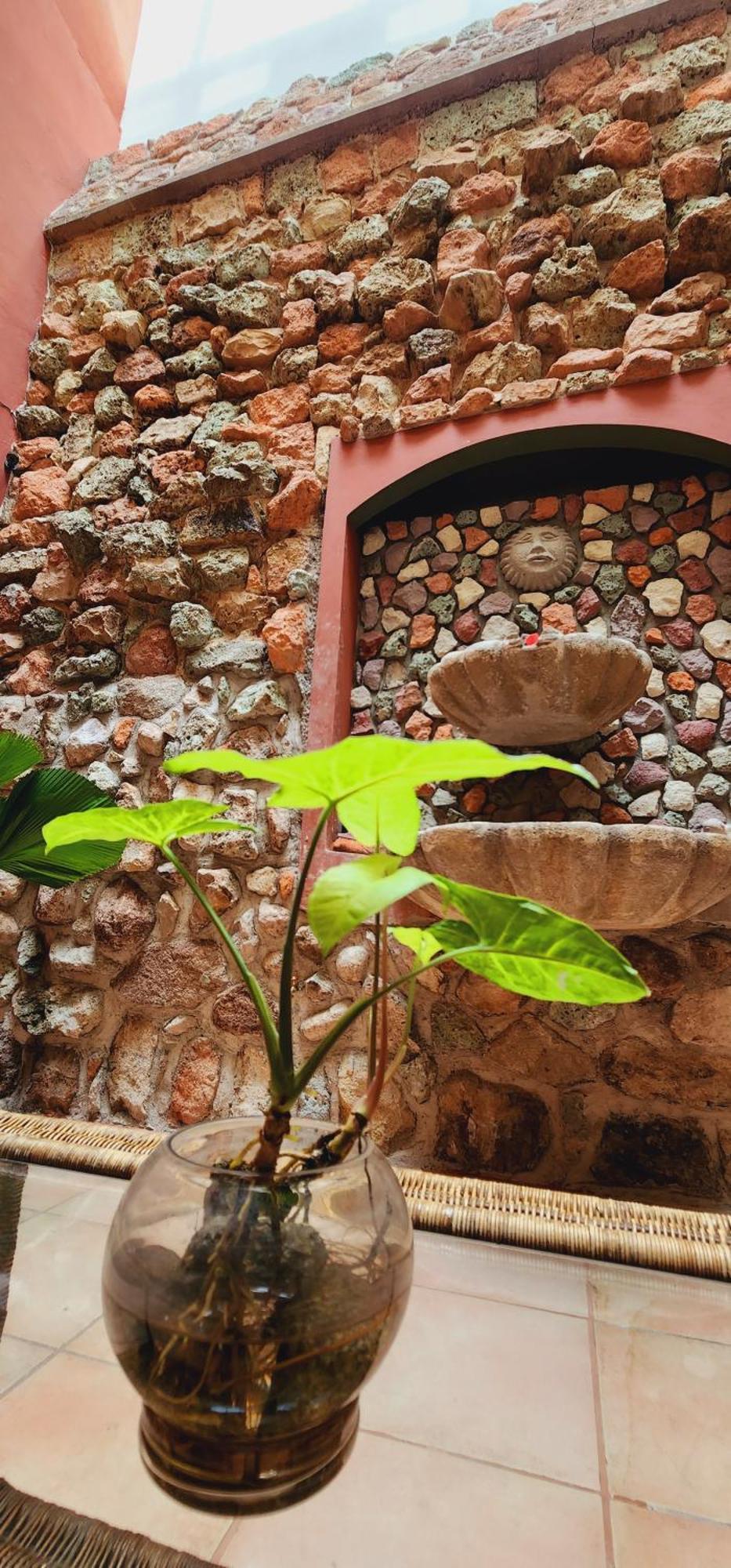 Hotel Alsacia Tegucigalpa Zewnętrze zdjęcie